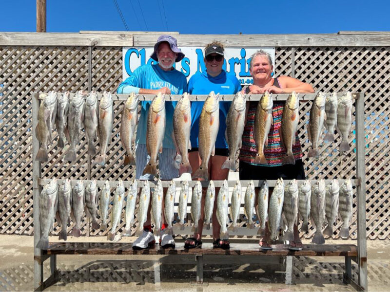 Inshore Bay Fishing Trip