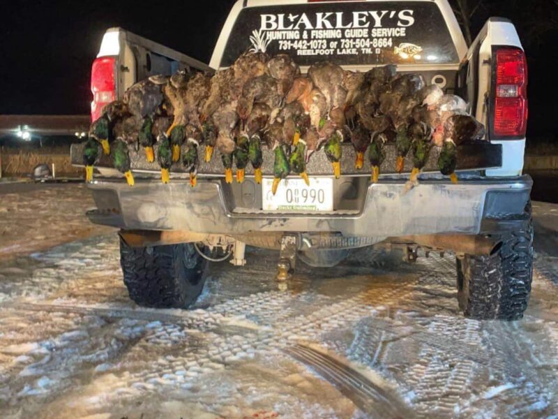 Reelfoot Lake Duck Hunting | David Blakley's Guide Service