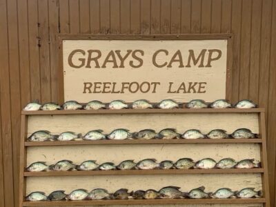 Guided Fishing on Reelfoot Lake | Grays Camp