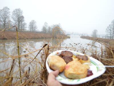 Guided Duck Hunts on Reelfoot Lake | Grays Camp