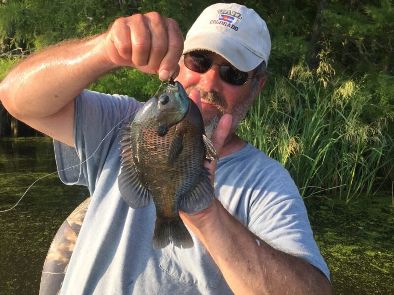 Guided Fishing on Reelfoot Lake | Grays Camp