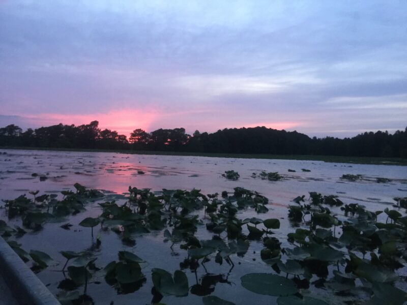 Reelfoot Scenic Eagle Tours | Grays Camp