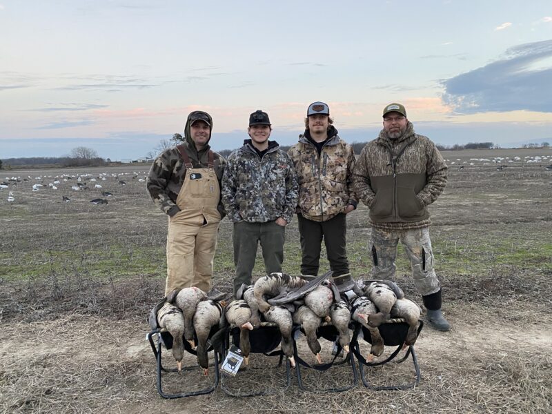 Guided Specklebelly Goose Hunts