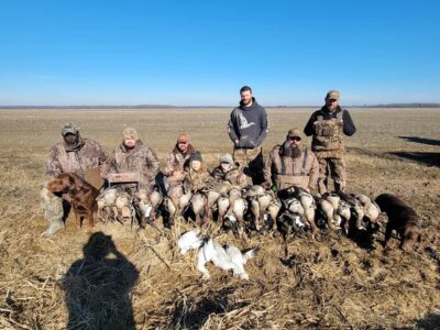 Guided Specklebelly Goose Hunts