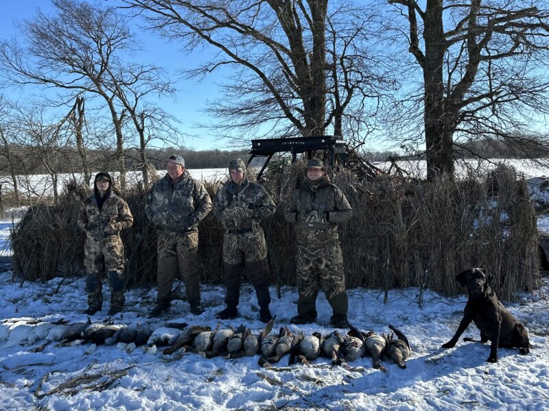 Guided Specklebelly Goose Hunts