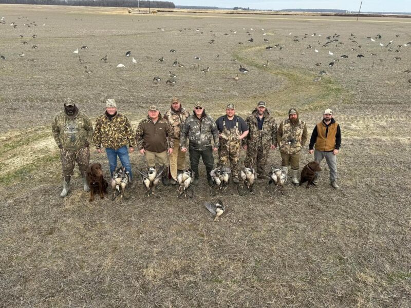 Guided Specklebelly Goose Hunts