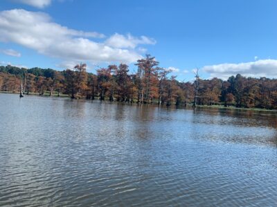 Reelfoot Lake Boat Rentals | Grays Camp