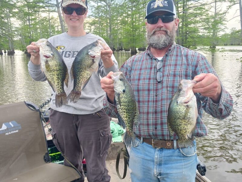 ReelFoot Fishing Trips | Mud Creek Outdoor