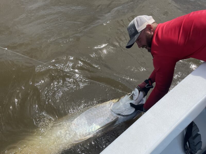 Georgia Inshore Fishing | Flatwater Outfitters