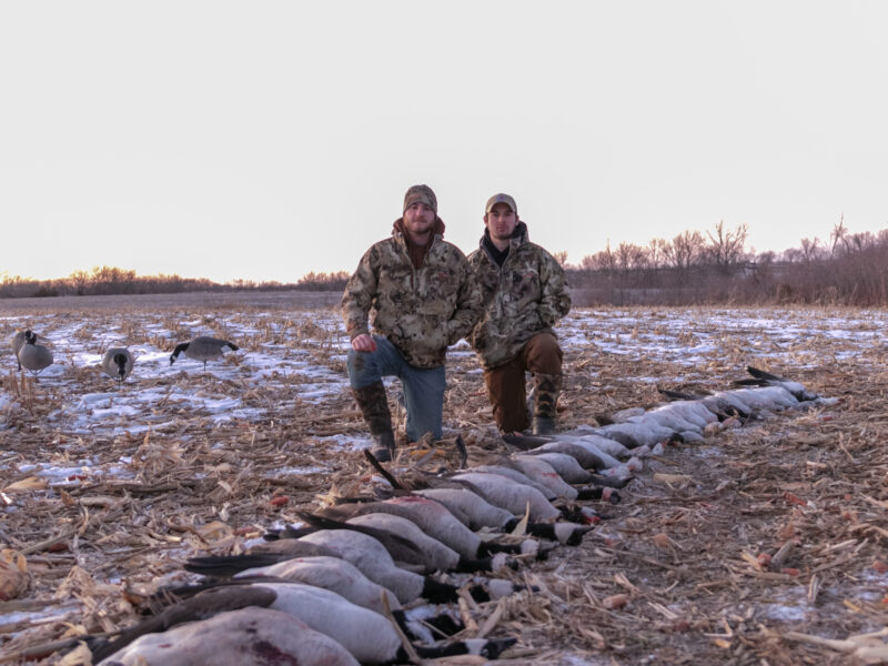 Late Season Honker Hunt - Paradise Flyway Outfitters