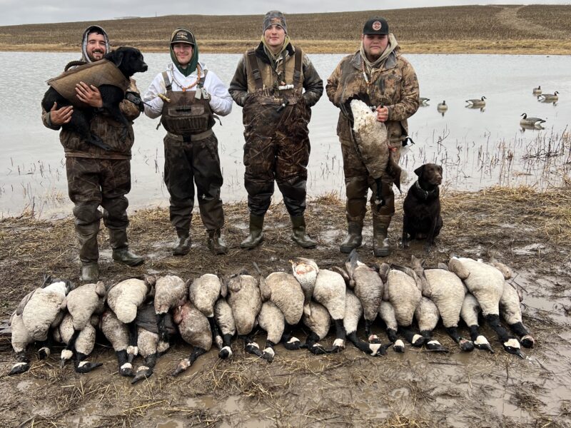 Late Season Honker Hunt - Paradise Flyway Outfitters