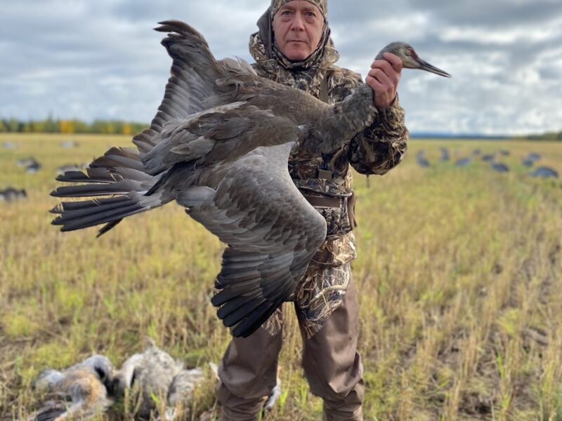 Guided Sandhill Crane & Waterfowl Hunts | Swamp Dog Alaska