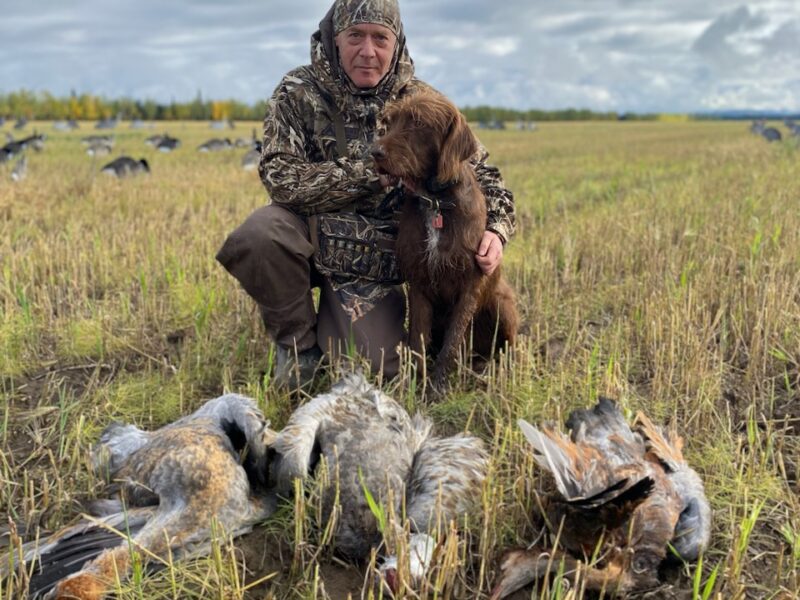 Guided Sandhill Crane & Waterfowl Hunts | Swamp Dog Alaska