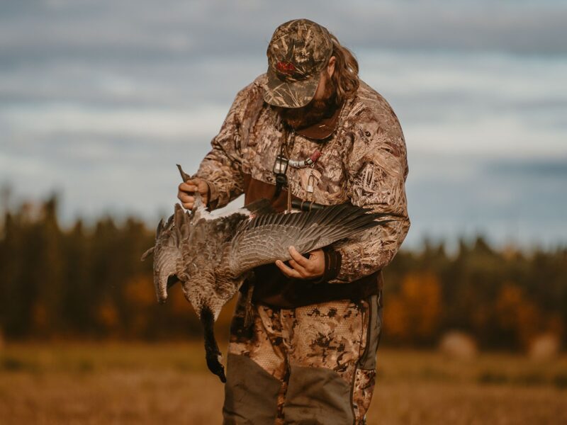 Guided Sandhill Crane & Waterfowl Hunts | Swamp Dog Alaska