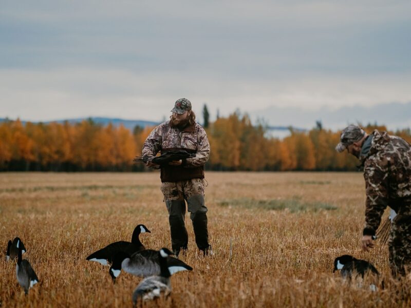 Guided Sandhill Crane & Waterfowl Hunts | Swamp Dog Alaska