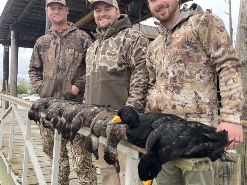 Georgia Coastal Sea Duck Hunts | Flatwater Outfitters