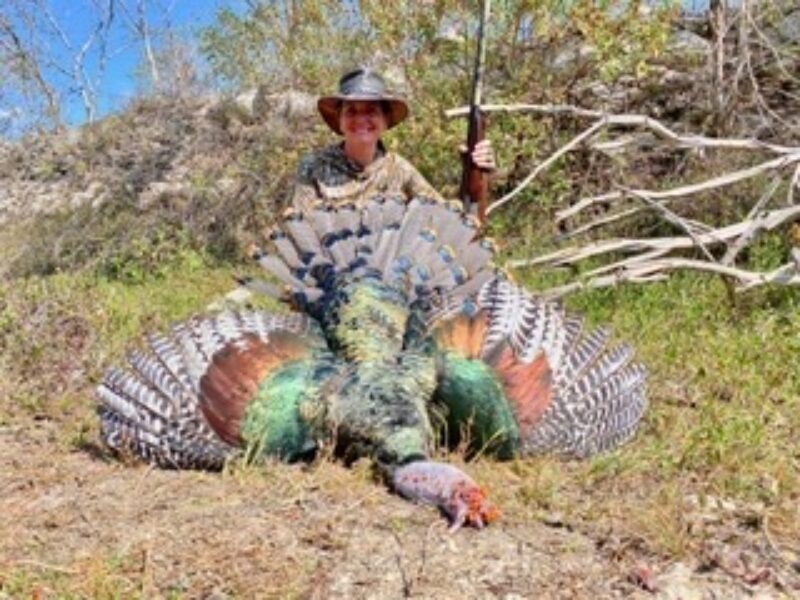 Mexico Ocellated Turkey Hunts | La Marina Del Rio