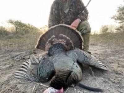 Mexico Rio Grande Turkey Hunts | La Marina Del Rio