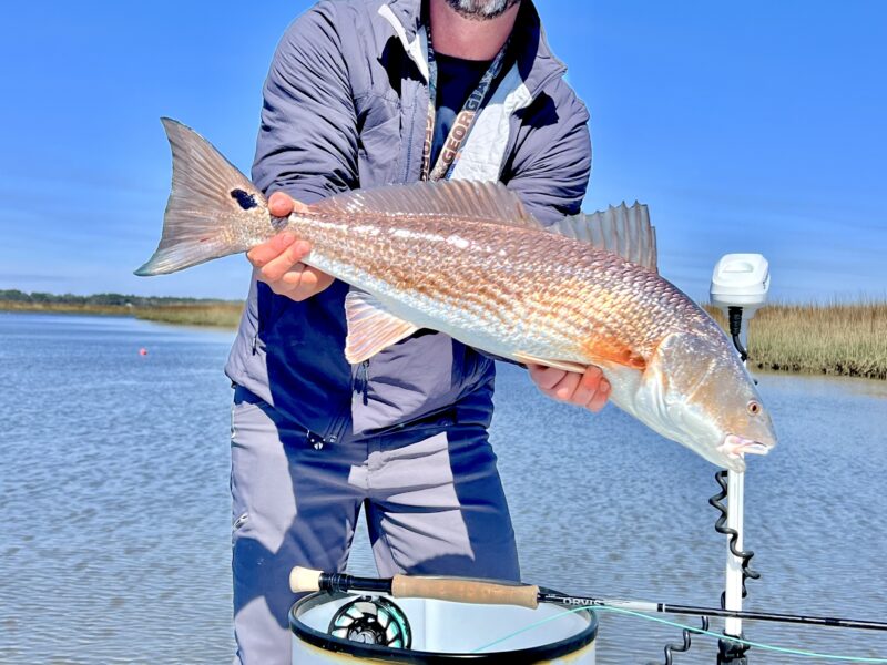 Georgia Fly and Light Tackle Sight Fishing | Flatwater Outfitters