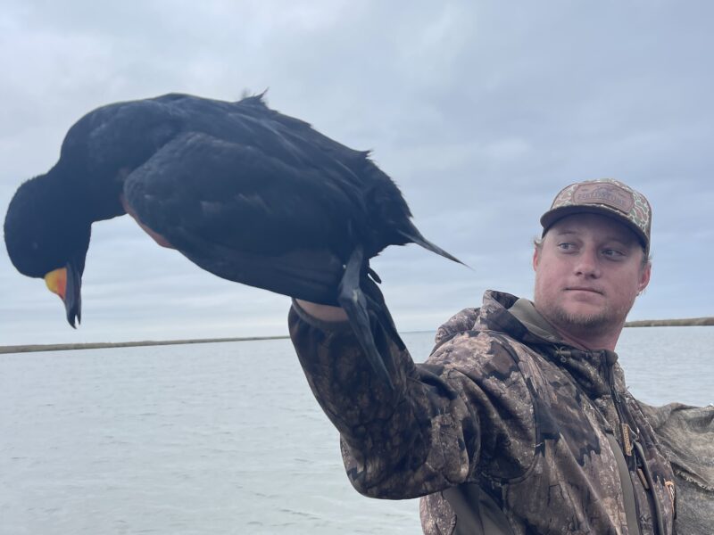 Georgia Coastal Sea Duck Hunts | Flatwater Outfitters