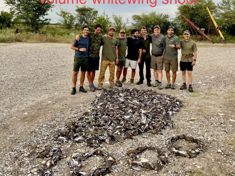 Mexico White Wing Dove Hunt | La Marina Del Rio