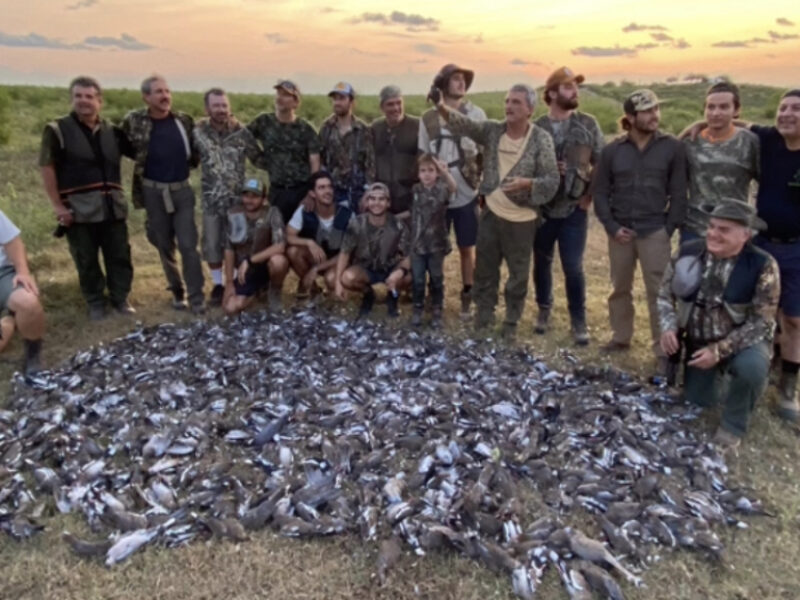 Mexico White Wing Dove Hunt | La Marina Del Rio