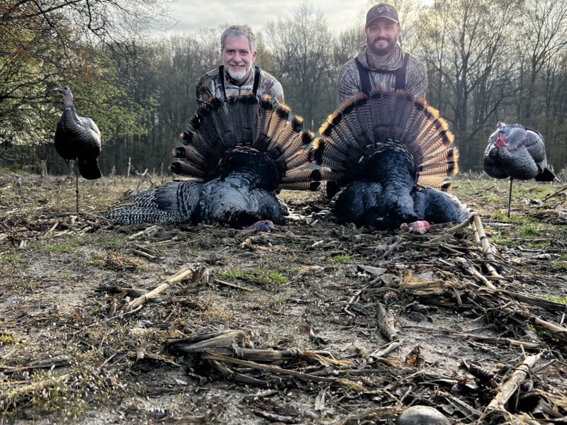 Michigan Turkey Hunts | Reign