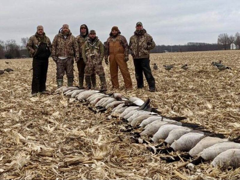 Michigan Goose Hunts (Corporate) | Reign