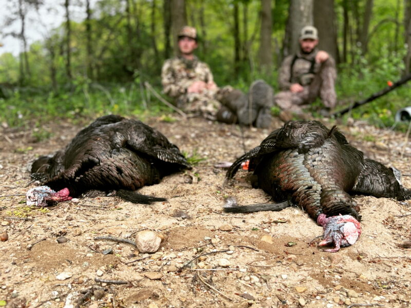 Michigan Turkey Hunts | Reign