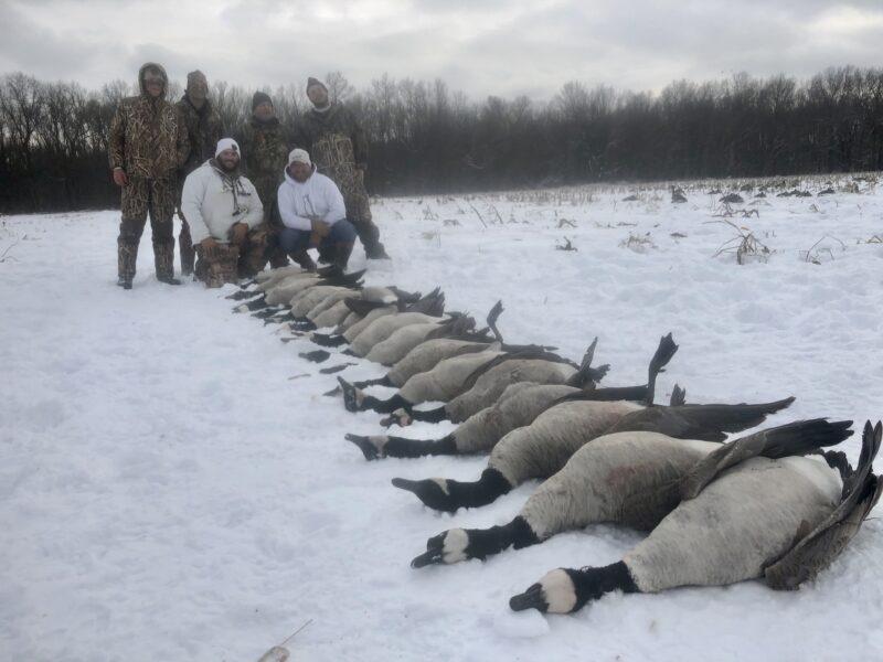 Michigan Goose Hunts (Corporate) | Reign