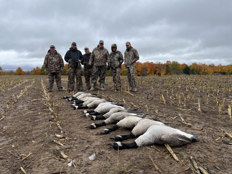 Michigan Goose Hunt | Reign Guided Outdoors