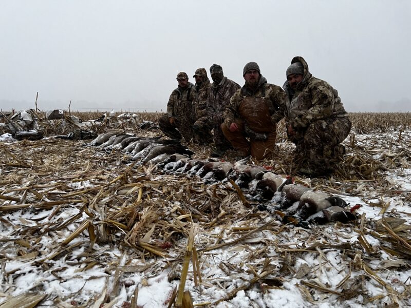 Michigan Duck Hunts | Reign