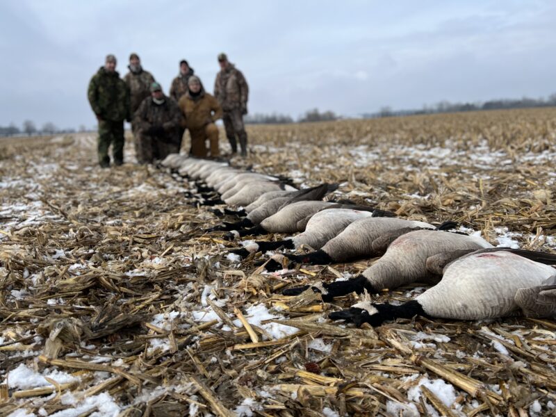 Michigan Goose Hunt | Reign Guided Outdoors