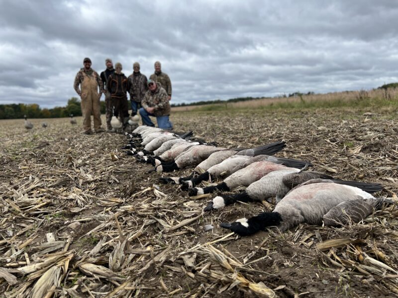 Michigan Goose Hunt | Reign Guided Outdoors