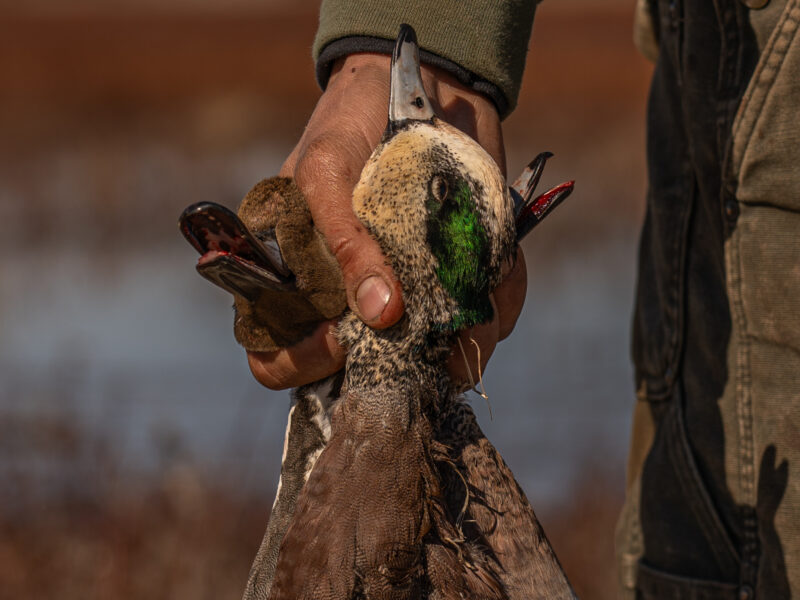 Kansas Waterfowl Hunt | Burning Sky Outfitters