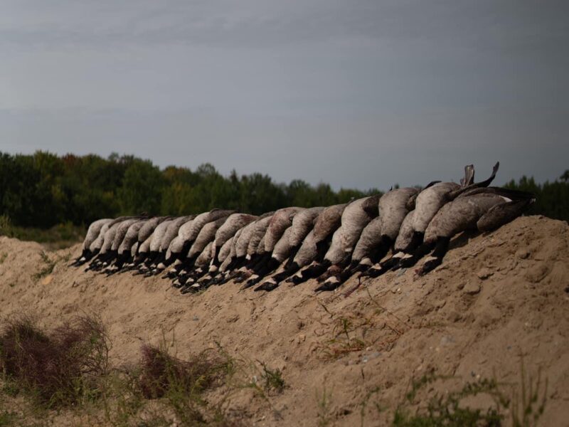 Kansas Waterfowl Hunt | Burning Sky Outfitters