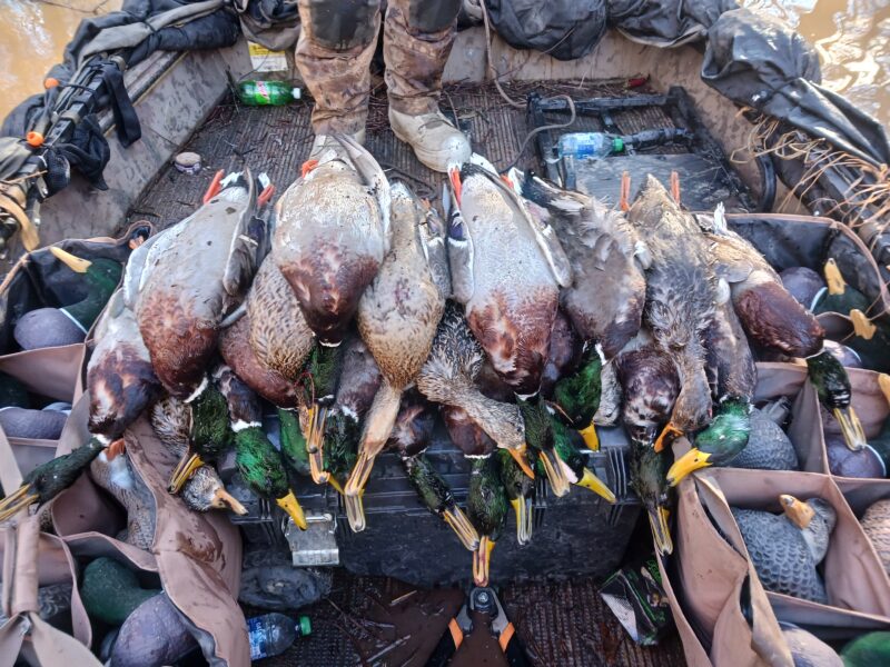 Fully Guided Waterfowl Hunts | Mud Creek