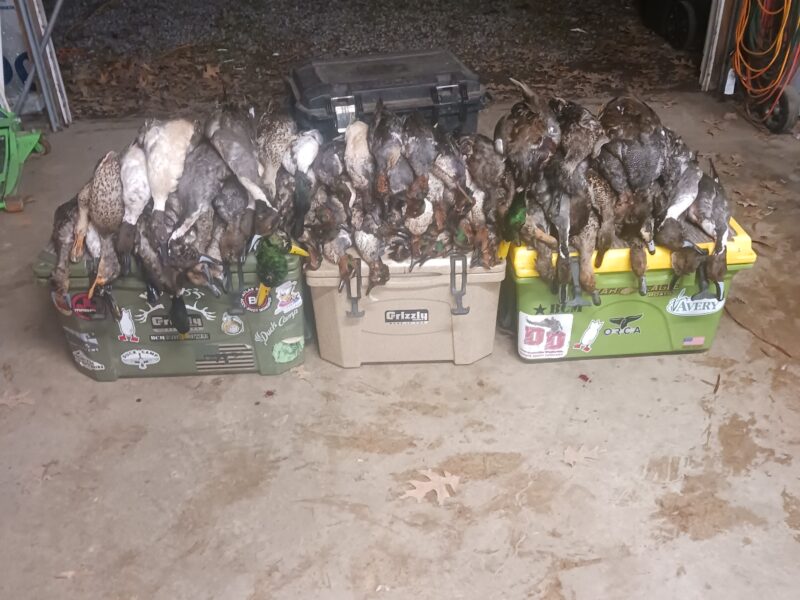 Fully Guided Waterfowl Hunts | Mud Creek