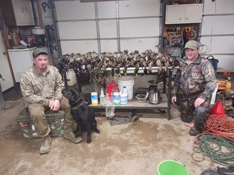 Fully Guided Waterfowl Hunts | Mud Creek