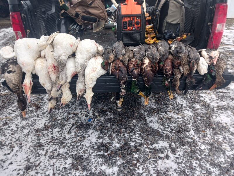 Fully Guided Waterfowl Hunts | Mud Creek