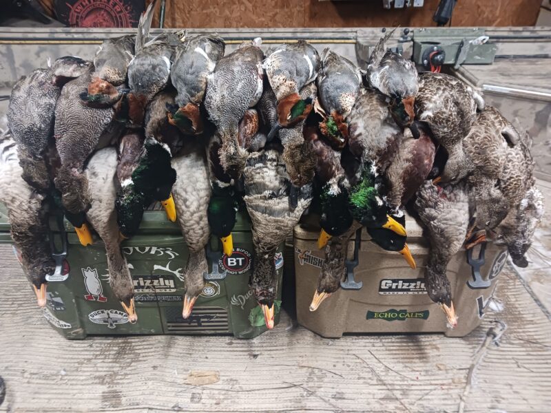 Fully Guided Waterfowl Hunts | Mud Creek