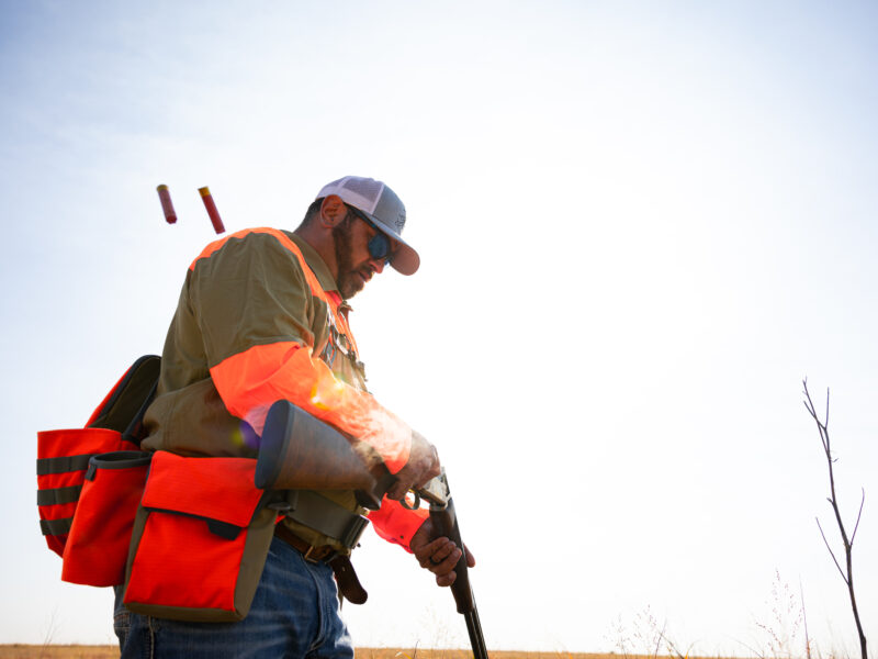 Colorado Upland Bird Hunting | Bow & Barrel Lodge