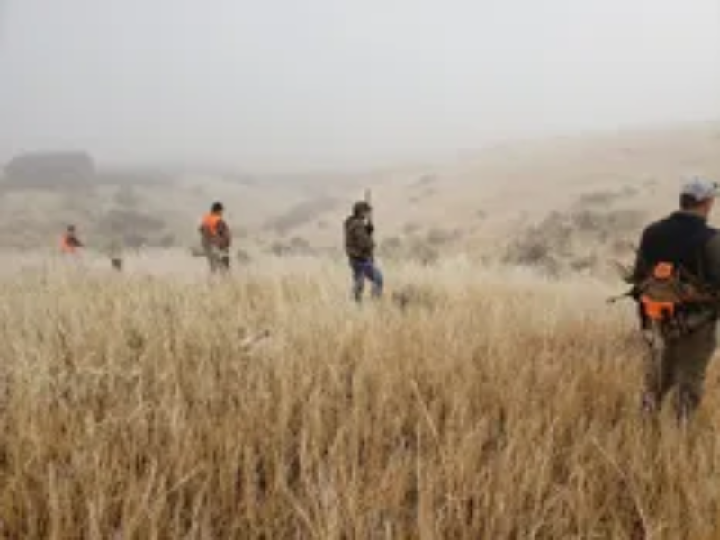 Idaho Pheasant Hunt | Wild West Roosters