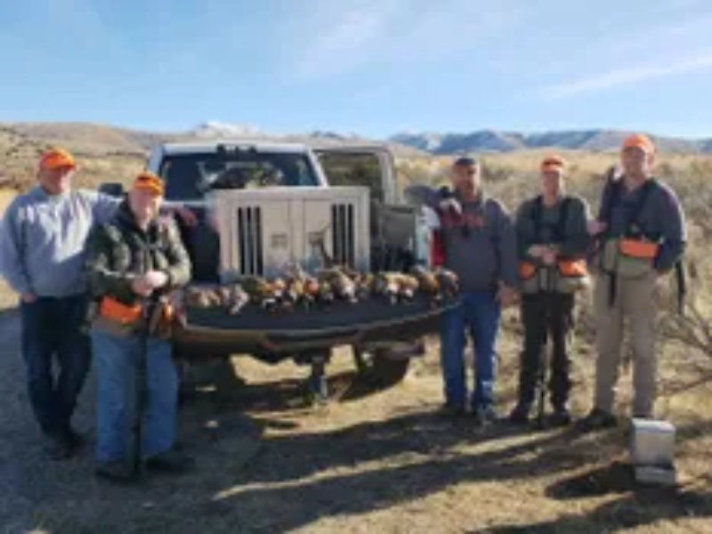 Idaho Pheasant Hunt | Wild West Roosters