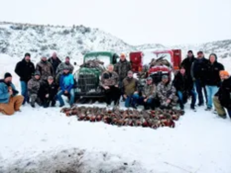 Idaho Pheasant Hunt | Wild West Roosters