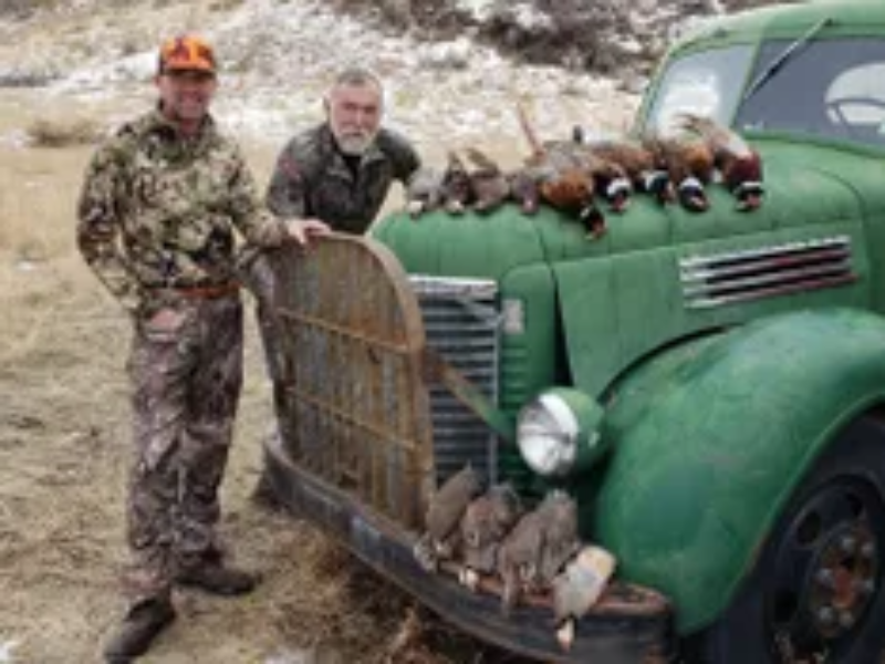 Idaho Pheasant Hunt | Wild West Roosters