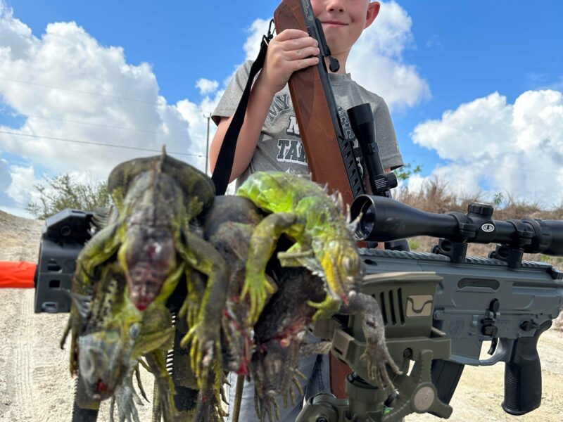 Florida Iguana Hunting | 2 Veterans Outdoor Adventures