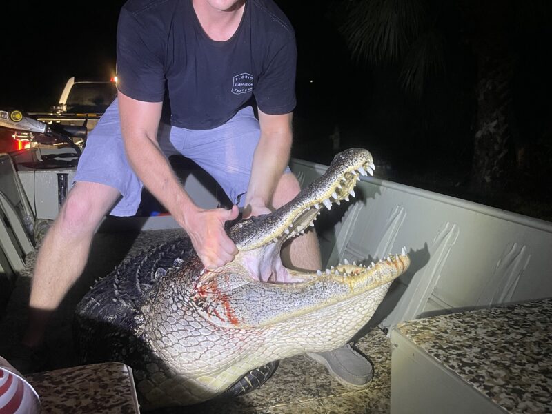 Florida Iguana Hunting | 2 Veterans Outdoor Adventures