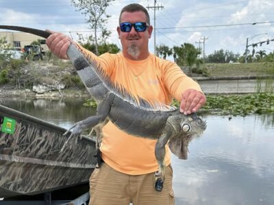 Florida Iguana Hunting | 2 Veterans Outdoor Adventures