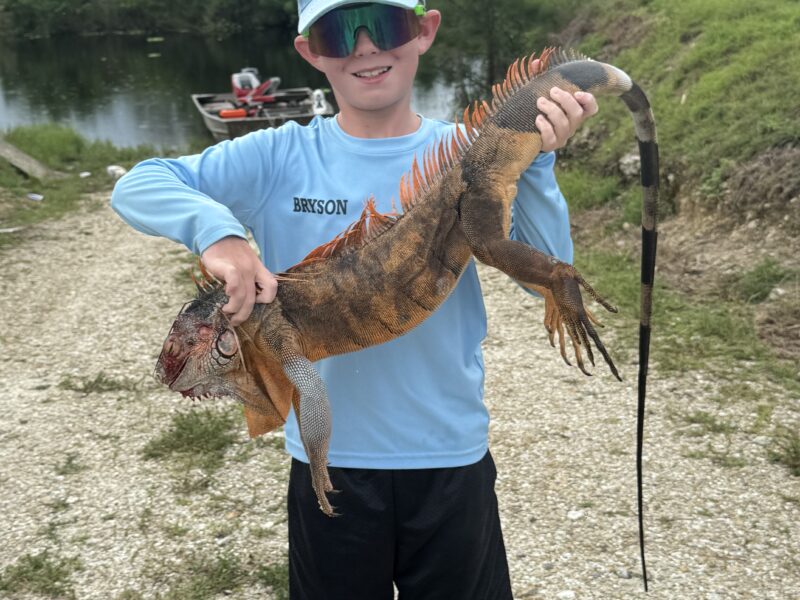 Florida Iguana Hunting | 2 Veterans Outdoor Adventures